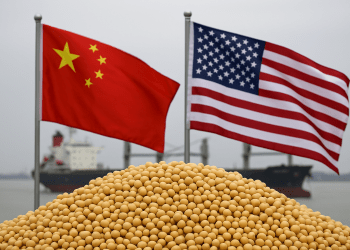 China resumes US soybean imports as trade deal nears final stage