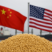 China resumes US soybean imports as trade deal nears final stage
