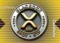 BlackRock XRP ETF Speculation Grows as Canary XRPC ETF Breaks Records