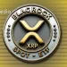 BlackRock XRP ETF Speculation Grows as Canary XRPC ETF Breaks Records