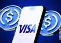 Visa Partners With BVNK to Enable Instant Stablecoin Payouts Globally