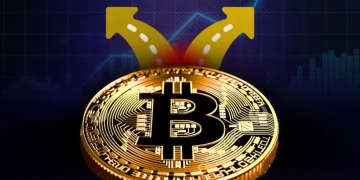 Bitcoin Price Prediction: One Level Stands Between Bulls and a $10,000 Drop