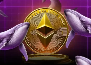 Ethereum ICO Whale Turns $12K Into Millions