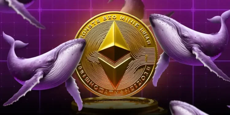 Ethereum ICO Whale Turns $12K Into Millions