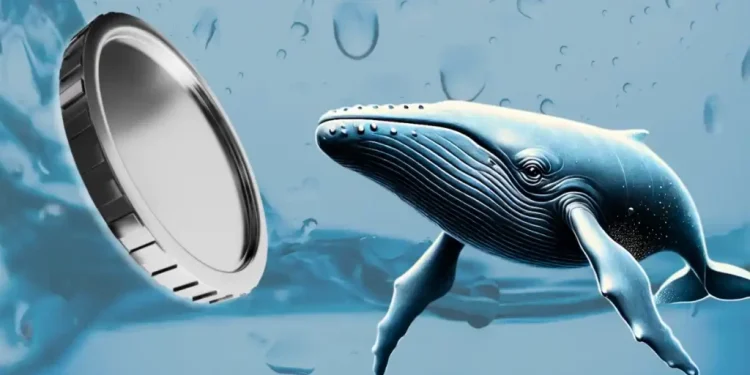 ORCA Price Explodes 40% as Regulatory Push Sparks Breakout