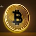 Most Bitcoin Treasury Companies Won’t Survive, Warns BSTR’s Sean Bill