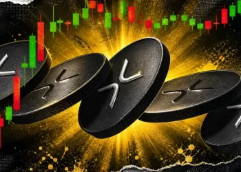 XRP News: XRP Ledger Hits Record High as Large Wallet Accumulation Surges