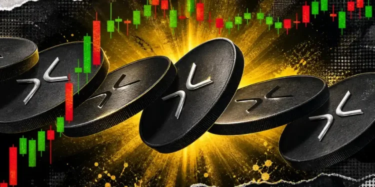 XRP News: XRP Ledger Hits Record High as Large Wallet Accumulation Surges