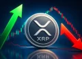Ripple News: XRP Whale Wallets Hit Record High as ETF Holdings Climb to $1.44 Billion