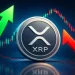 Ripple News: XRP Whale Wallets Hit Record High as ETF Holdings Climb to $1.44 Billion