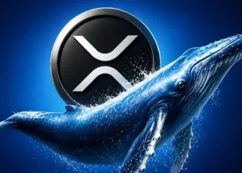 XRP Beats Bitcoin and Ethereum in Investor Demand