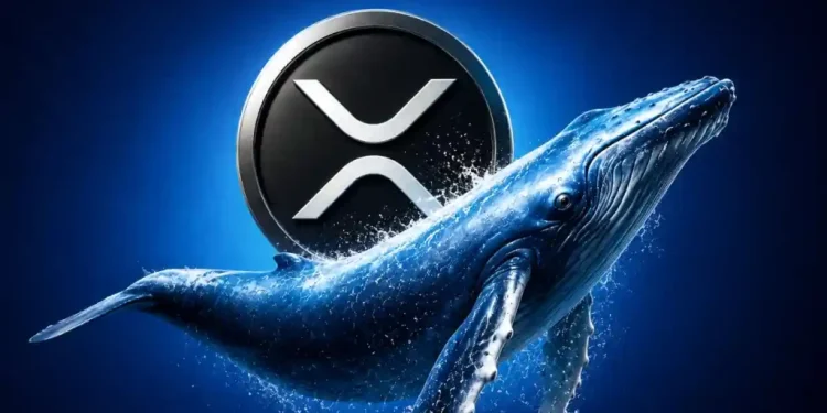 XRP Beats Bitcoin and Ethereum in Investor Demand