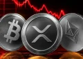 Why Did the Crypto Market Crash Today?