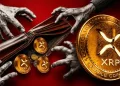 XRP Ledger News: RWAs Hit $5.1 Billion as Ripple Executive Predicts Another 100x Growth 