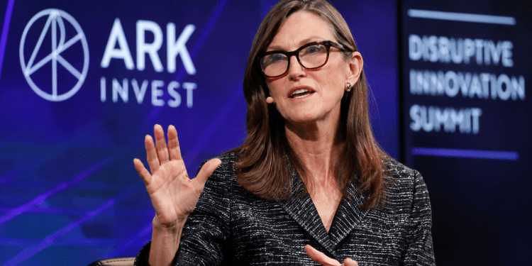 Why Cathie Wood is doubling down on this $18 stock