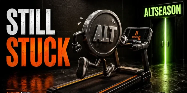 Altcoin News Today: ETH, ADA, LTC May Be Forming Cycle Bottoms as Bitcoin Lags 