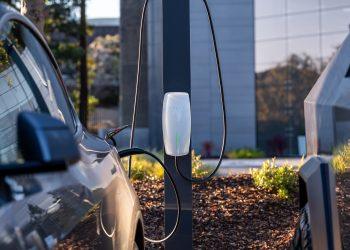 Tesla launches Robotaxi operations in Miami amid growing competition