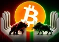 Bitcoin Treasury Companies Slow Buying as Market Value Drops
